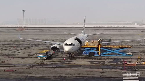 新疆國際貨運包機業務全面恢復，為國際物流注入新動能
